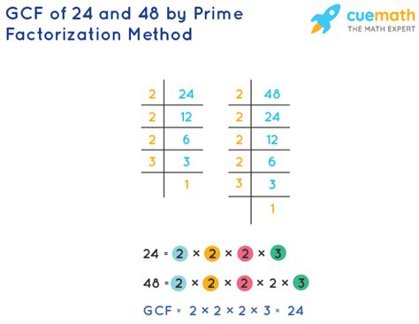 gcf of 48 and 24